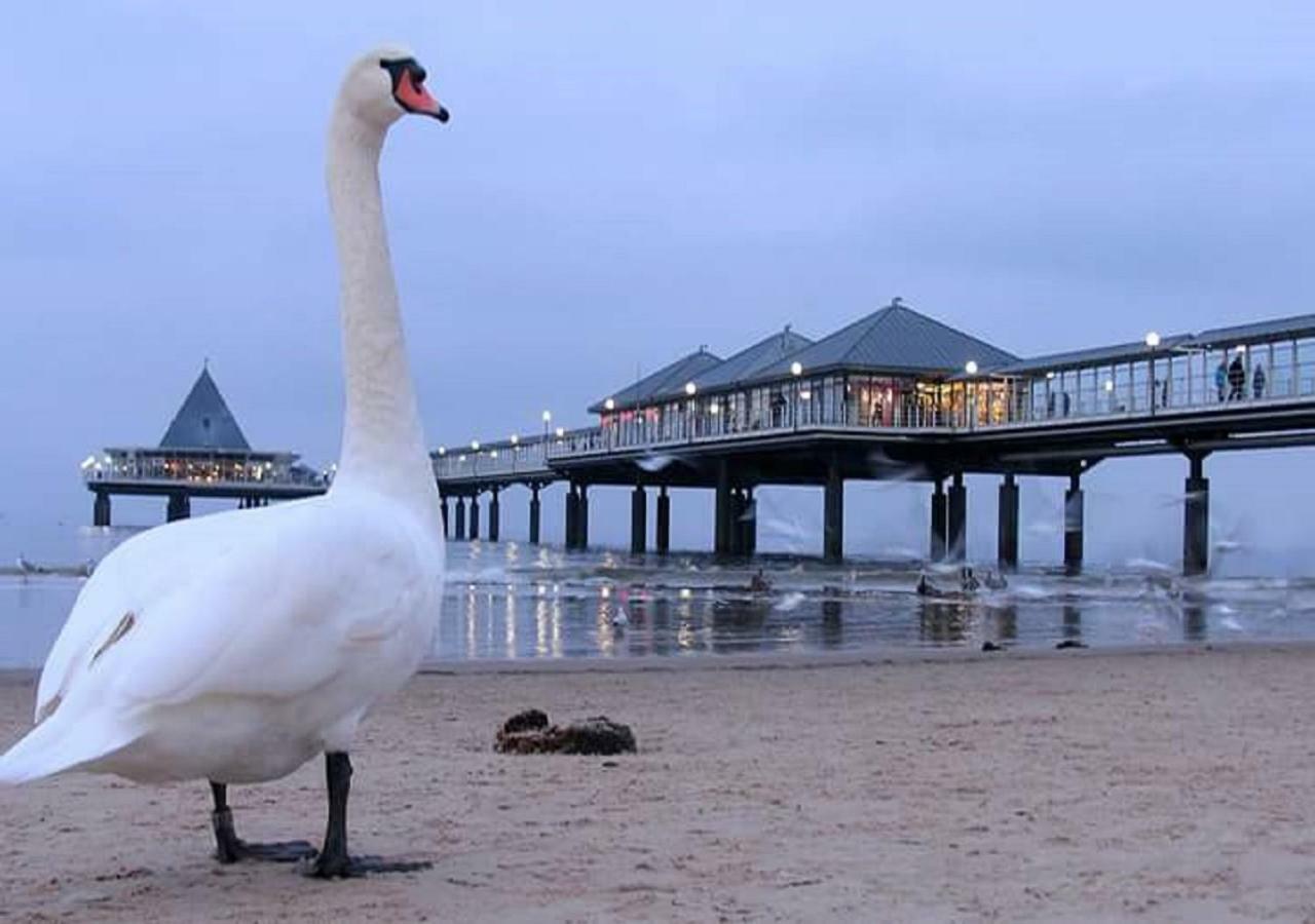 Villa Inge App 12 Heringsdorf (Usedom) Exterior foto